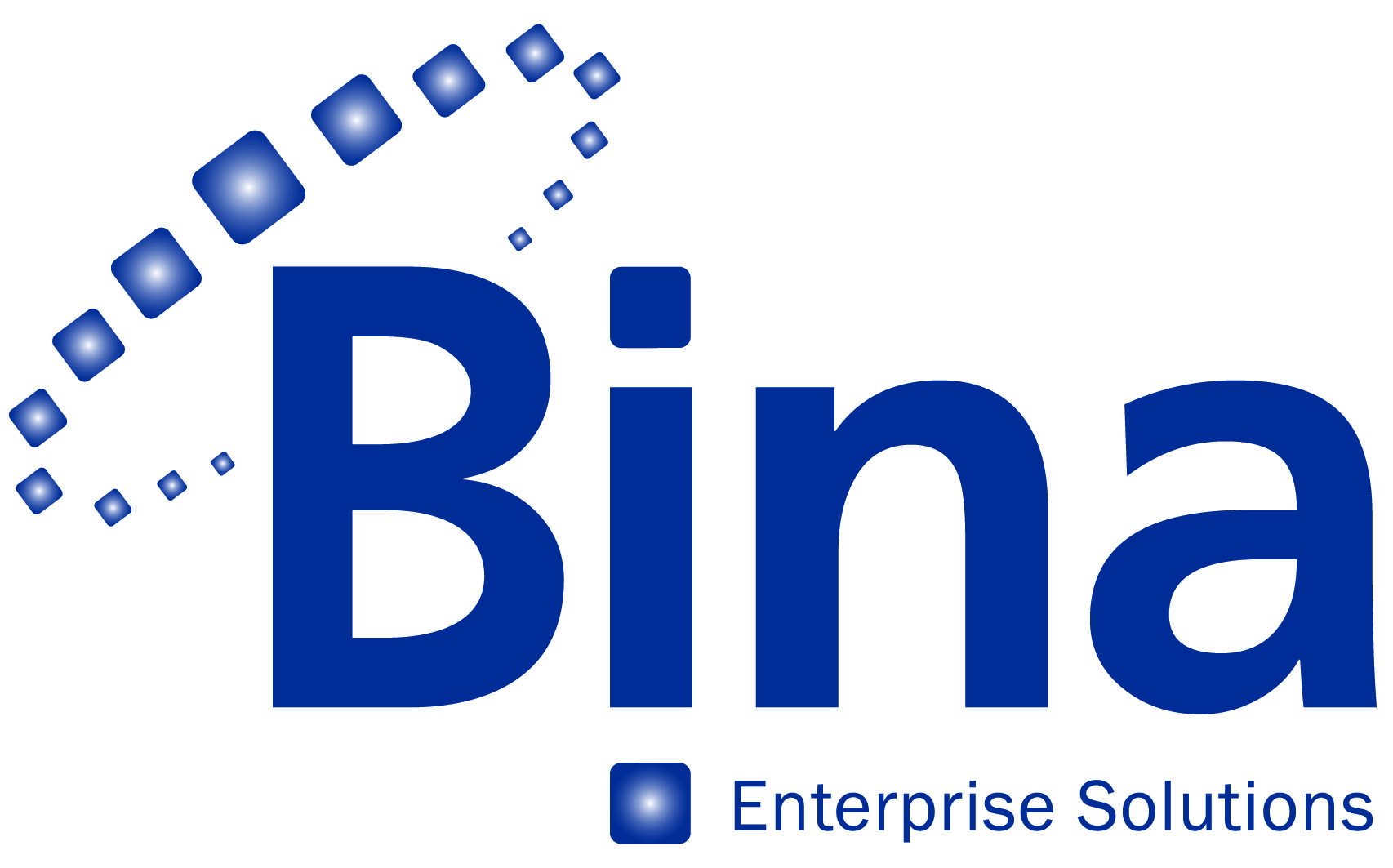 Bina Software Development 